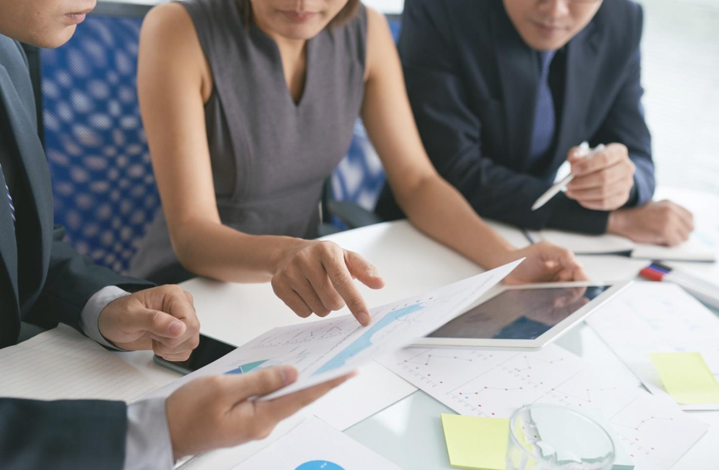 Live-Webinar-Session mit Teilnehmern beim interaktiven Budget-Workshop